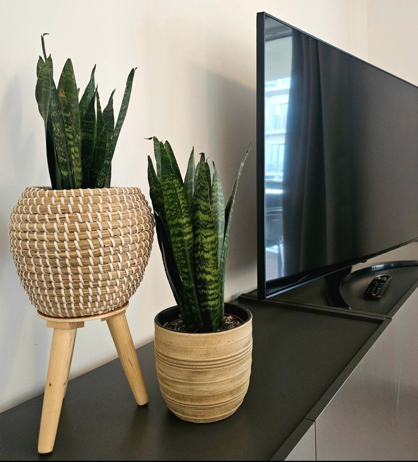 Apartment Smartapart - Design - Favorite Place - Full Equipment - Public Transport *