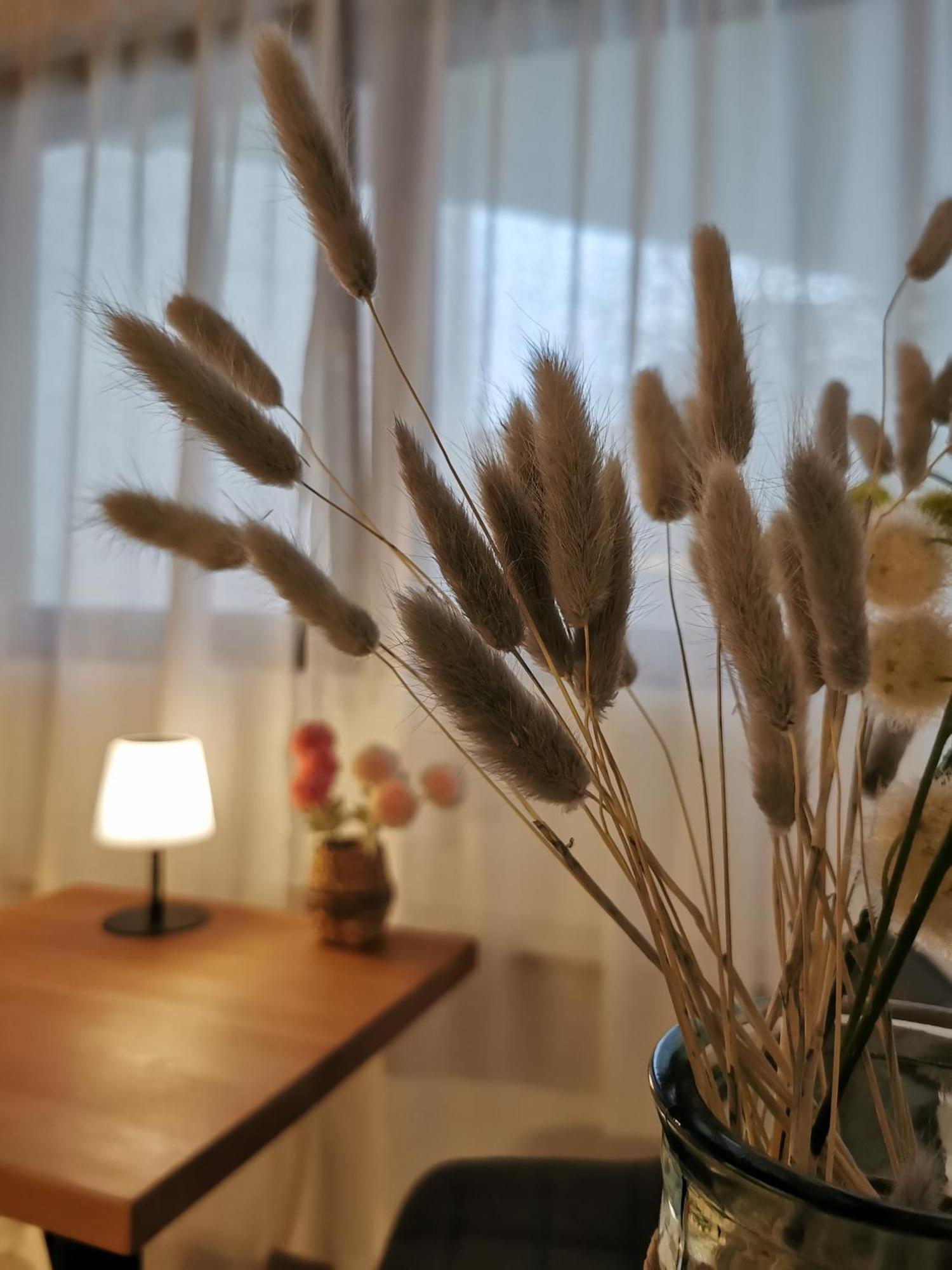 Apartment Smartapart - Design - Favorite Place - Full Equipment - Public Transport